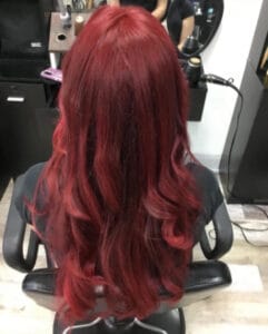 309556631_515442717257770_3510181745622650688_n